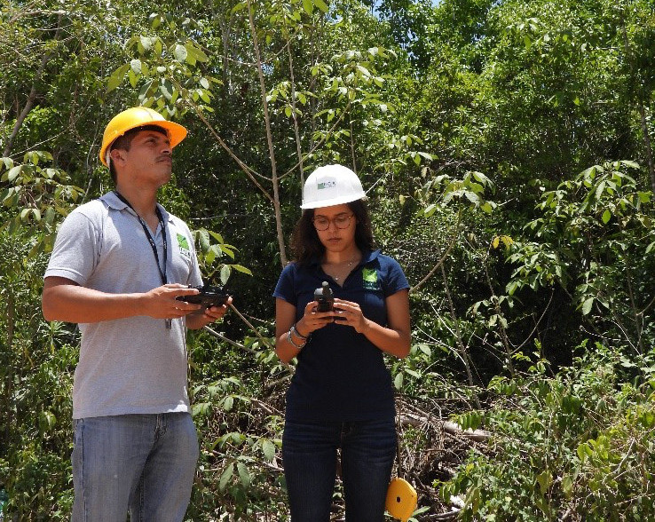 Diagnóstico Ambiental de Pre-inversión