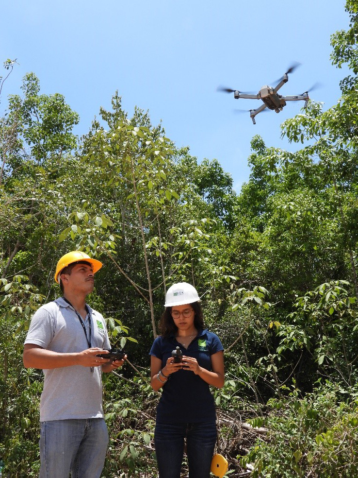 Diagnóstico Ambiental de Pre-inversión