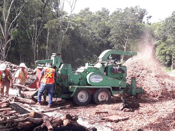 Restauración y Rehabilitación Ambiental